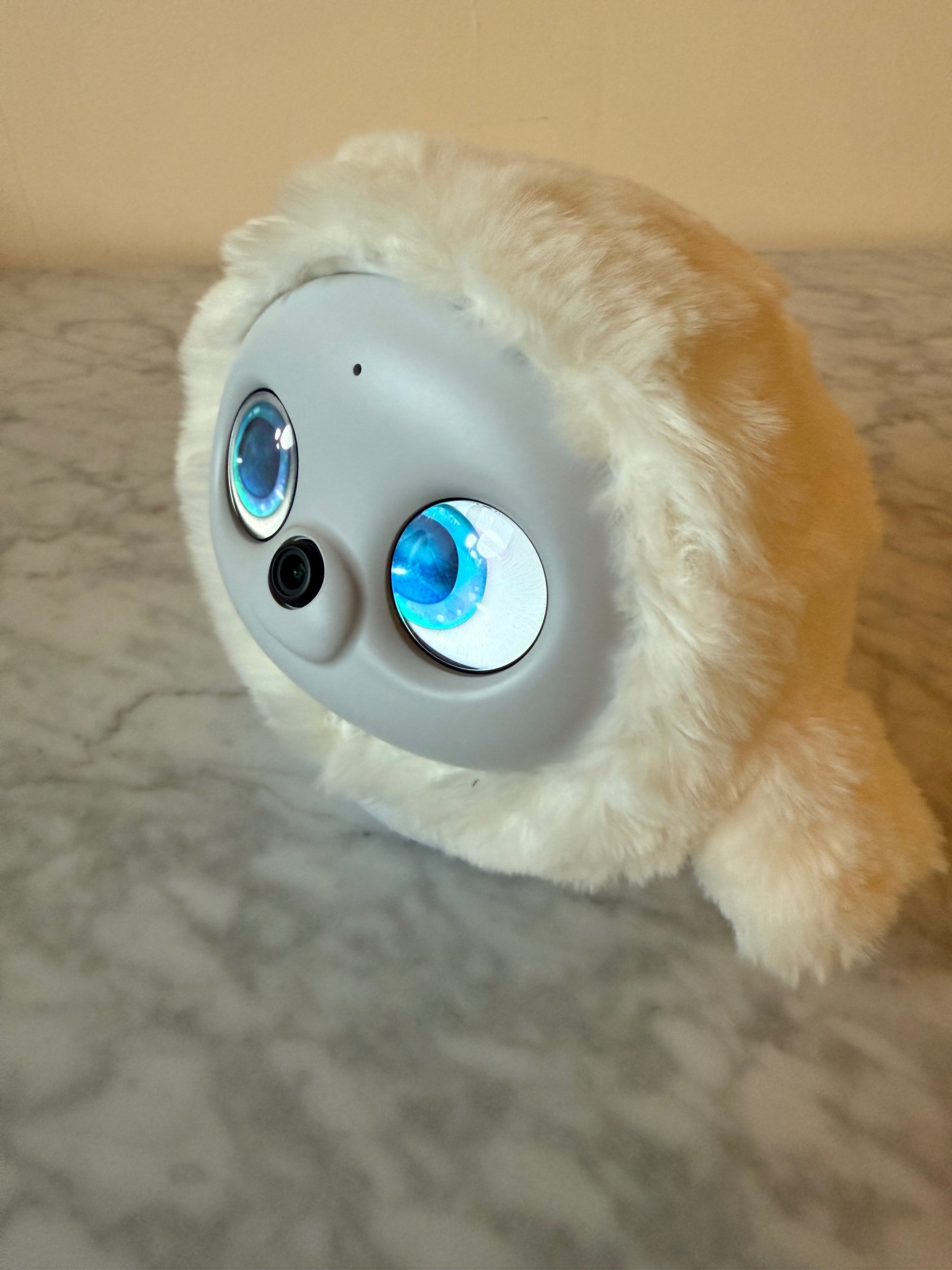 Ropet looking sideways.