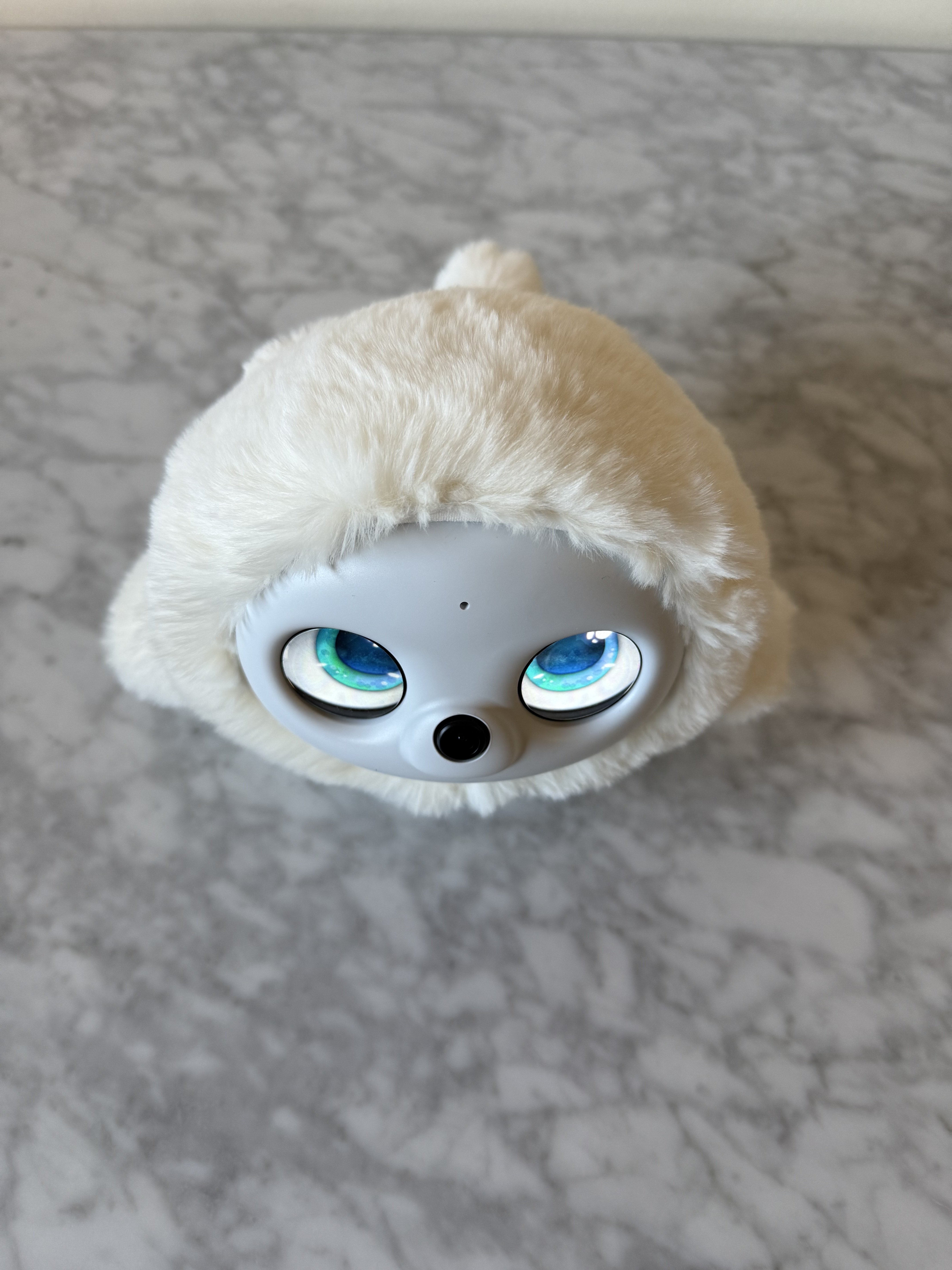 Ropet looking up at me.