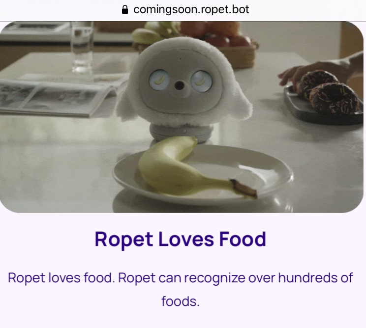 Ropet recognising food.