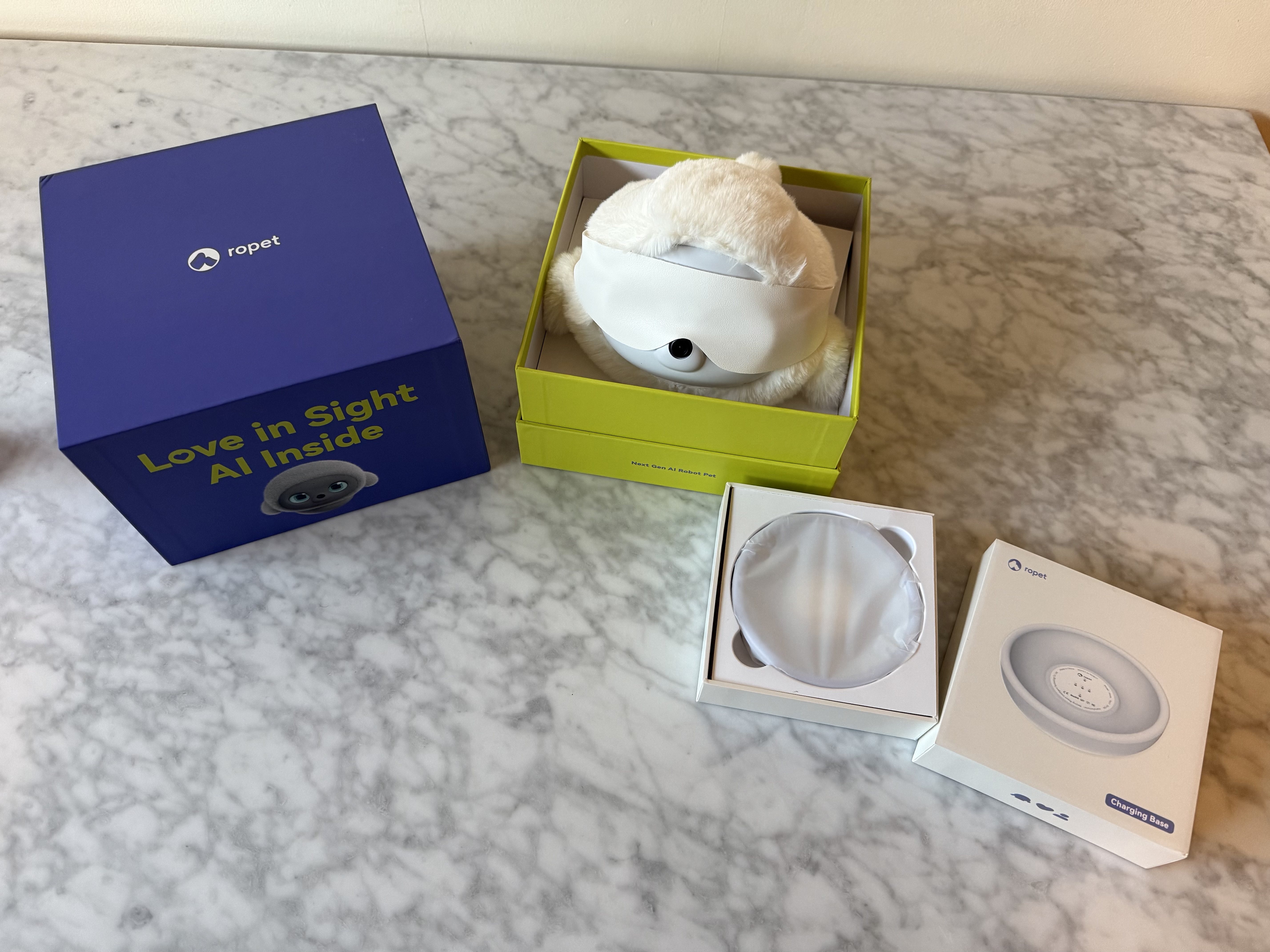 Ropet robot Kickstarter Pro bundle unboxing.