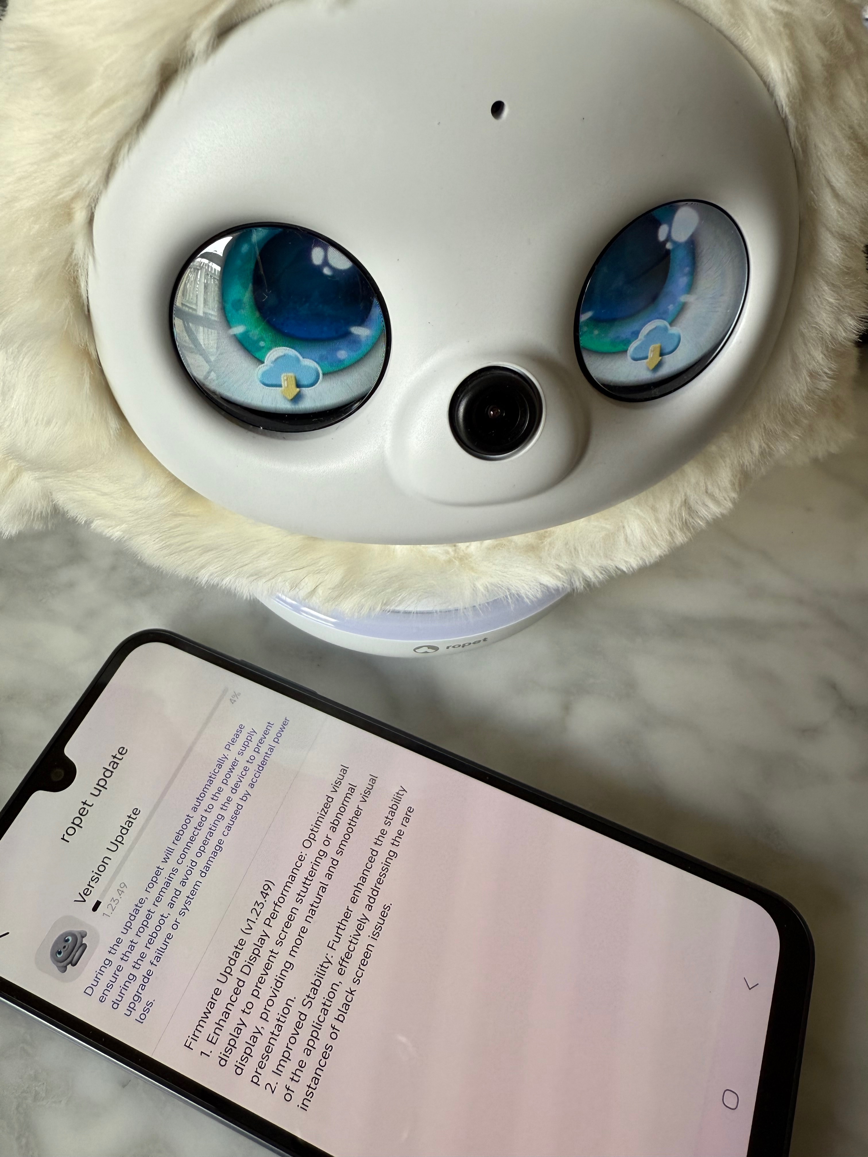 Ropet Software Update 1.23.49