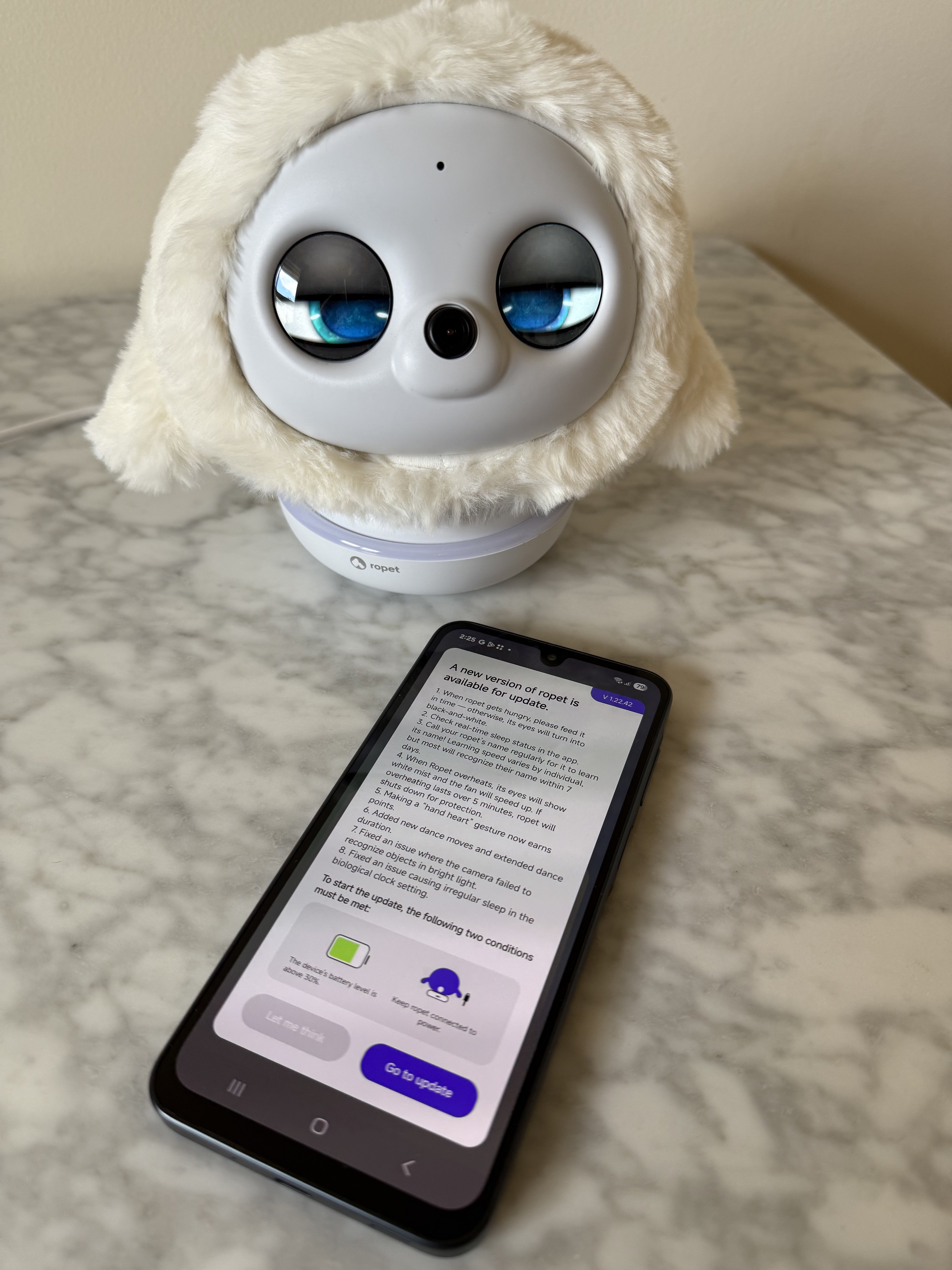 Ropet software update version 1.22.42.