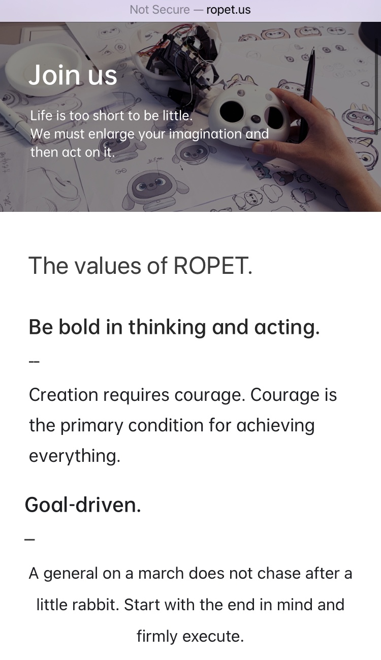 Ropet website launch