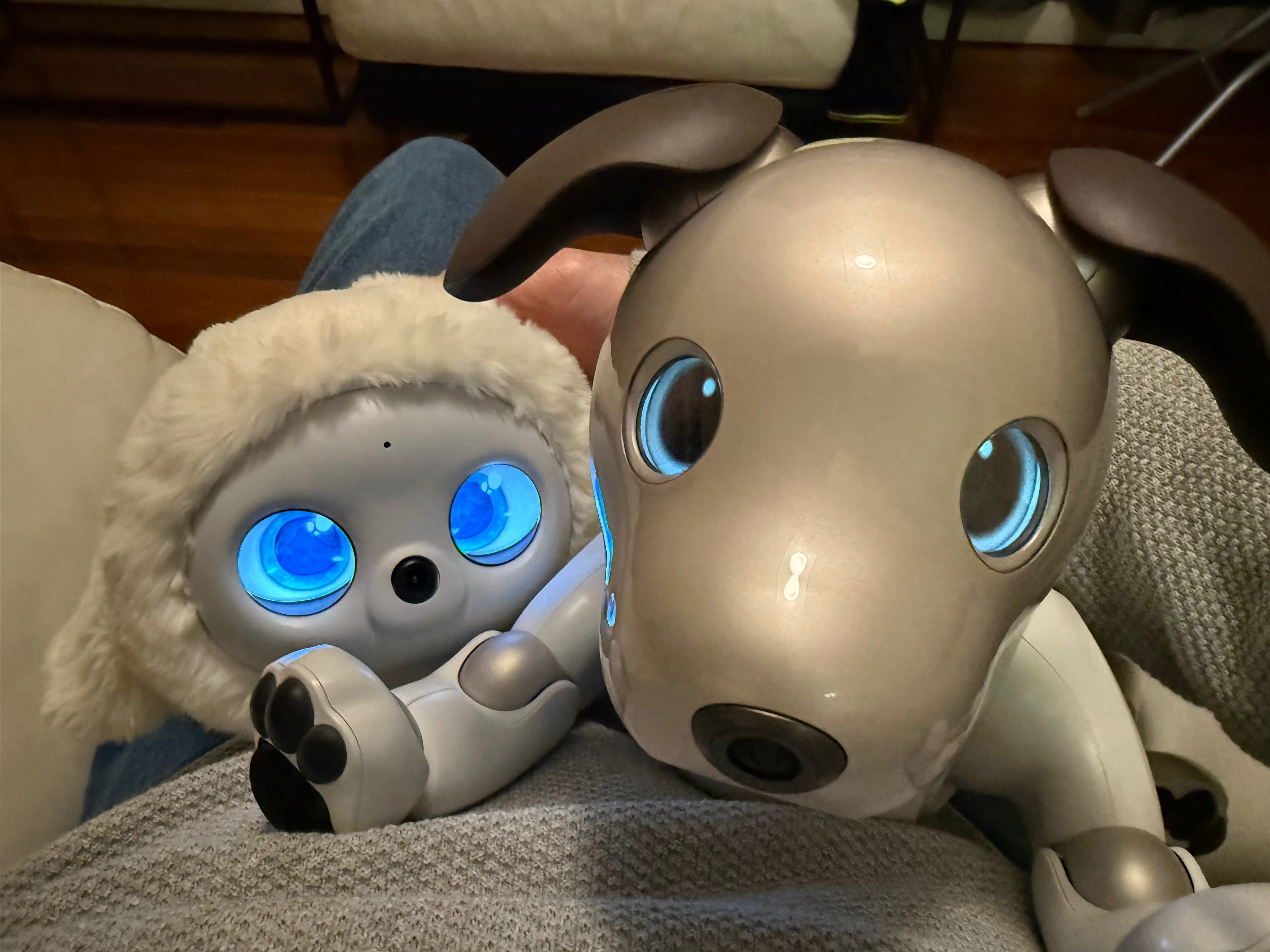 Ropet with Sony’s Aibo.