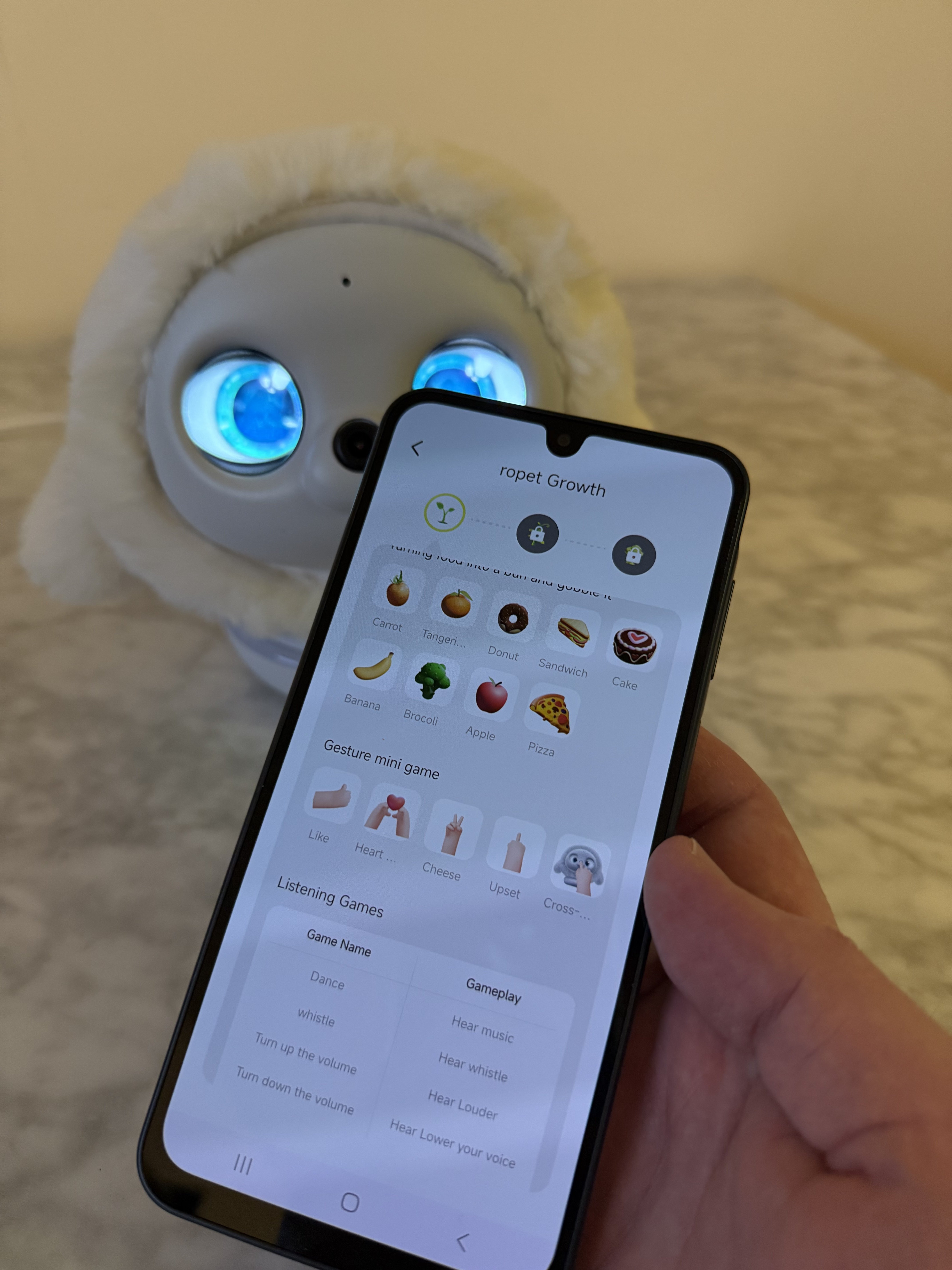 Some of the hand gestures Ropet will recognise.