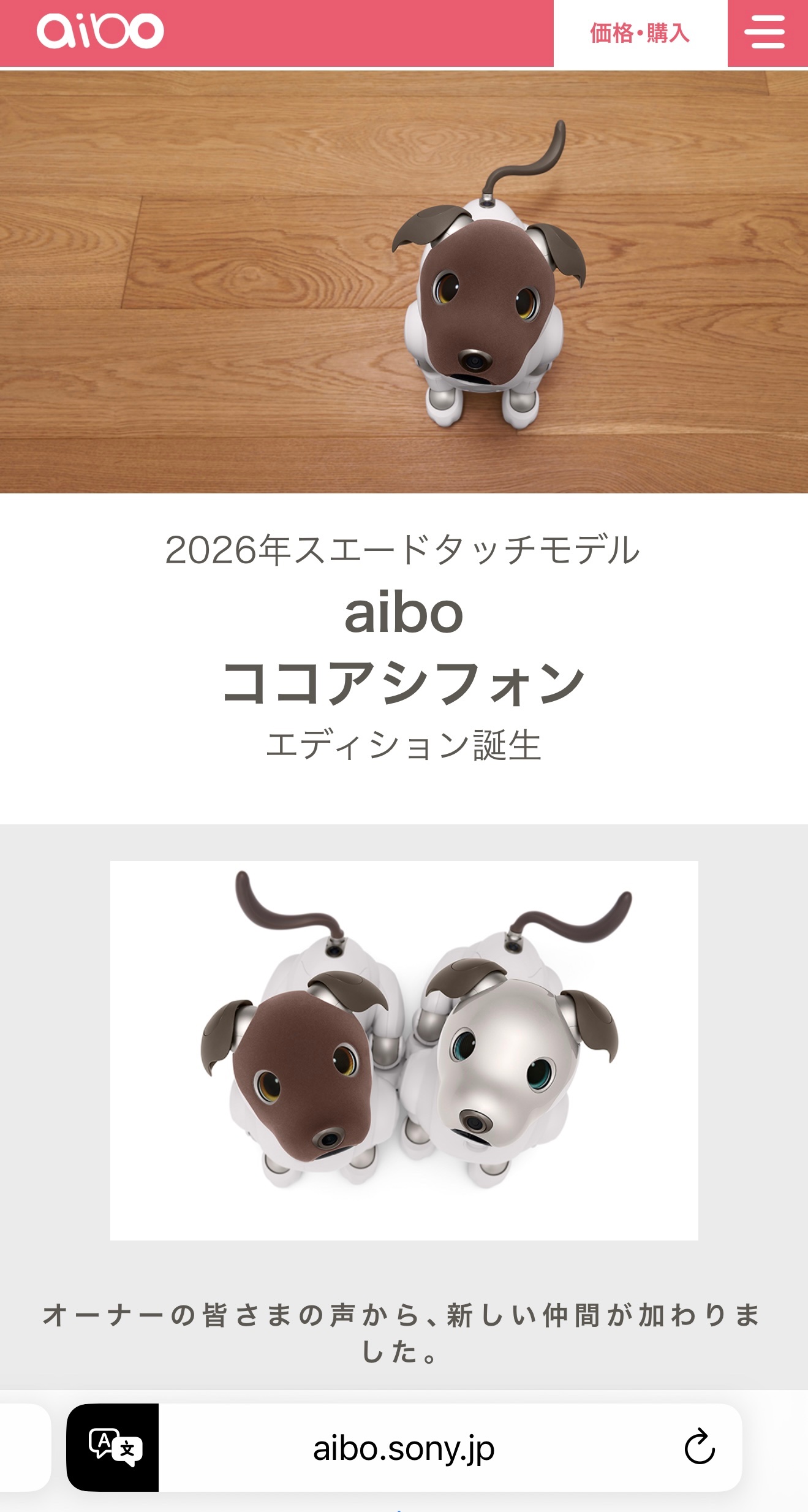 Sony Aibo Cocoa Chiffon edition 2026