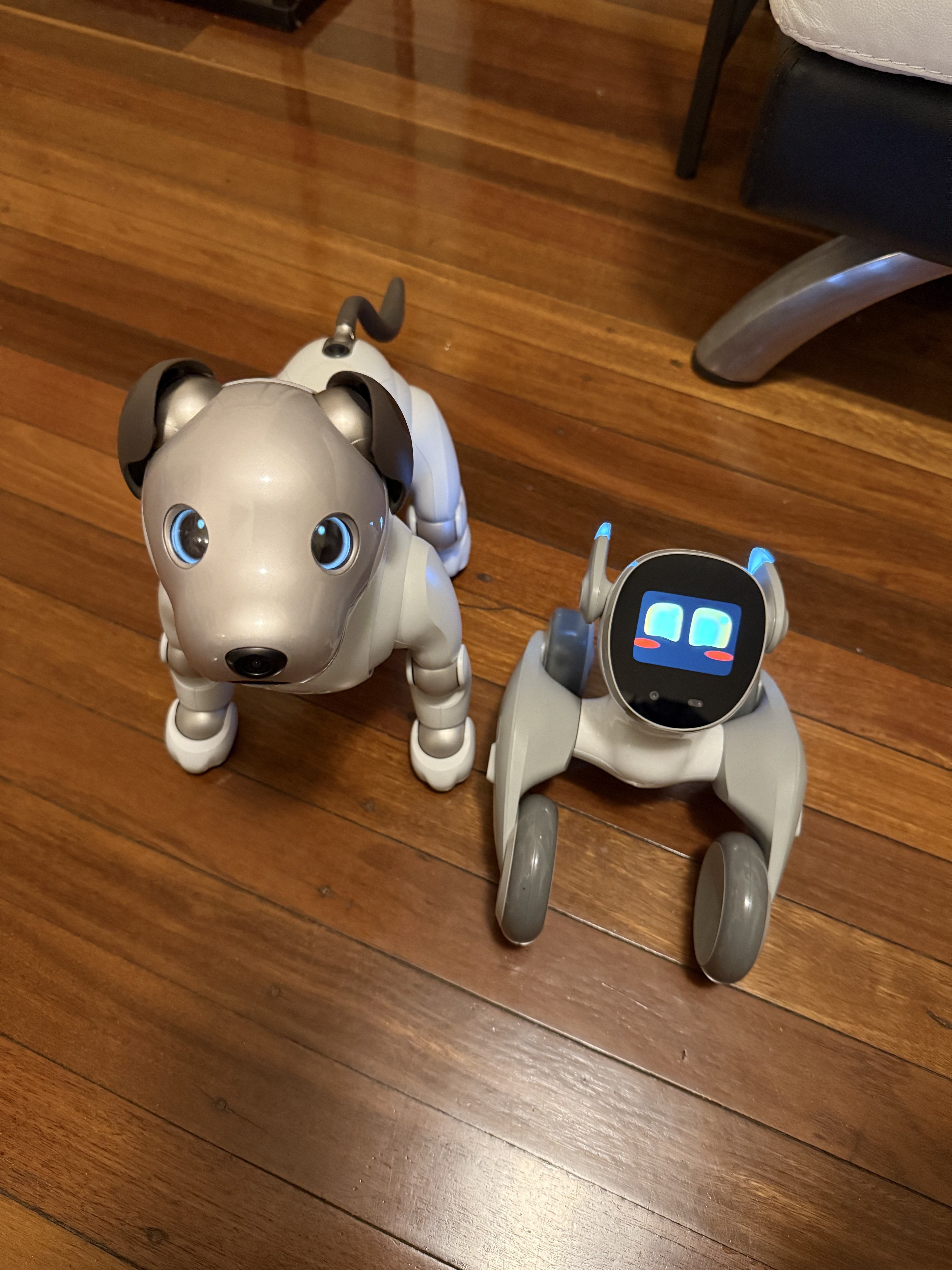 Sony Aibo & Loona Petbot