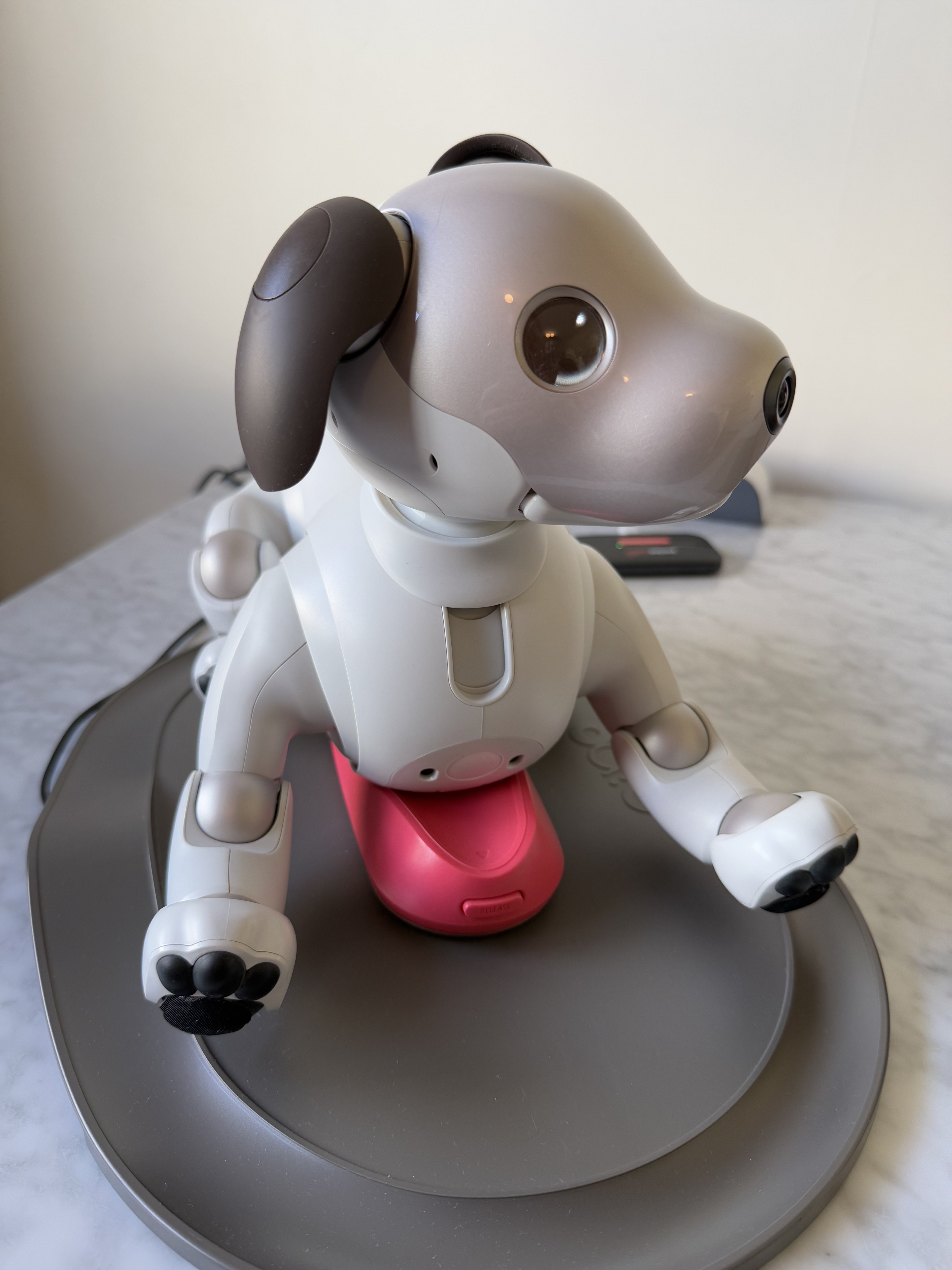 Sony Aibo lying on charging station