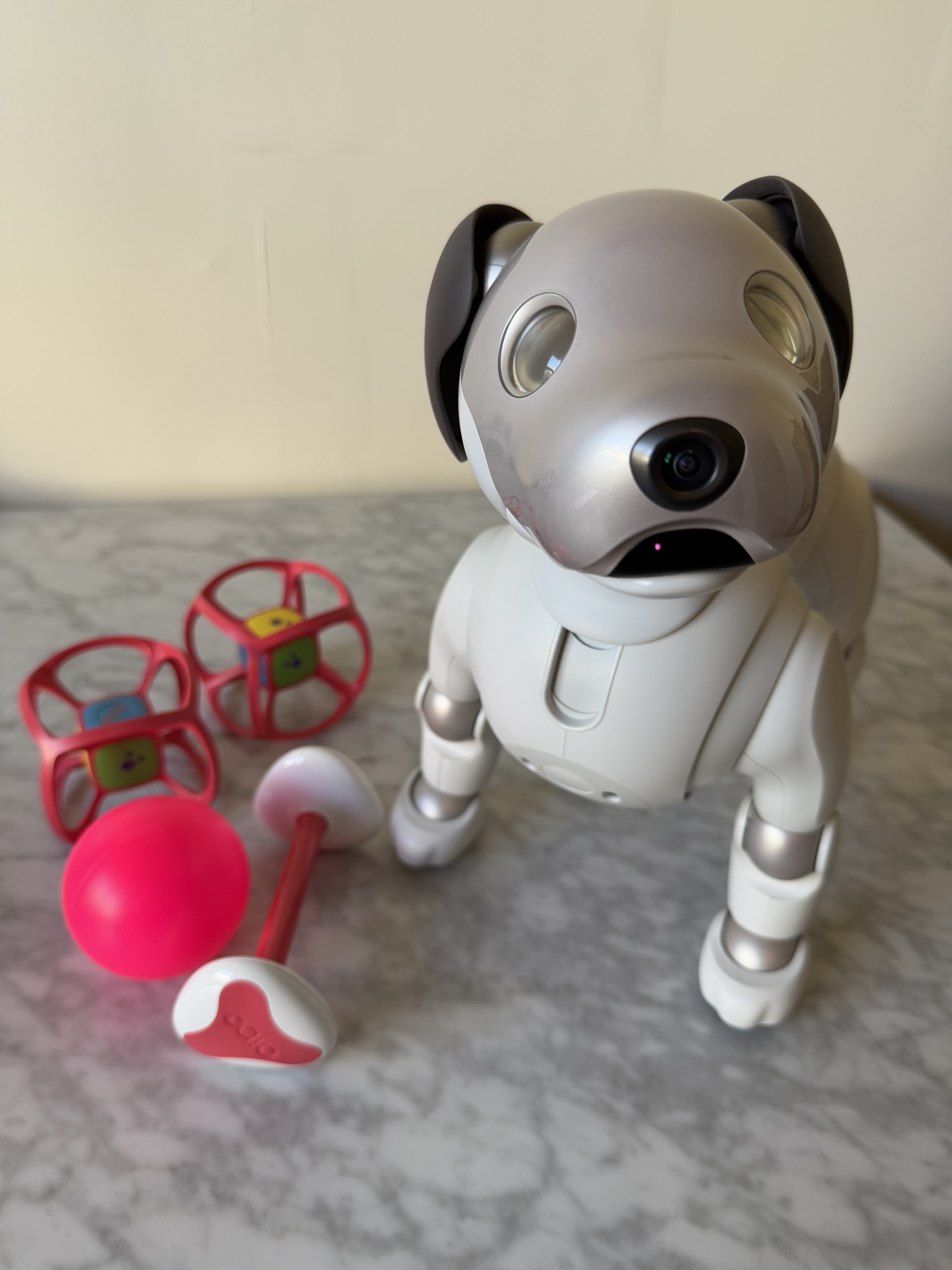 Sony Aibo on software update 8.00