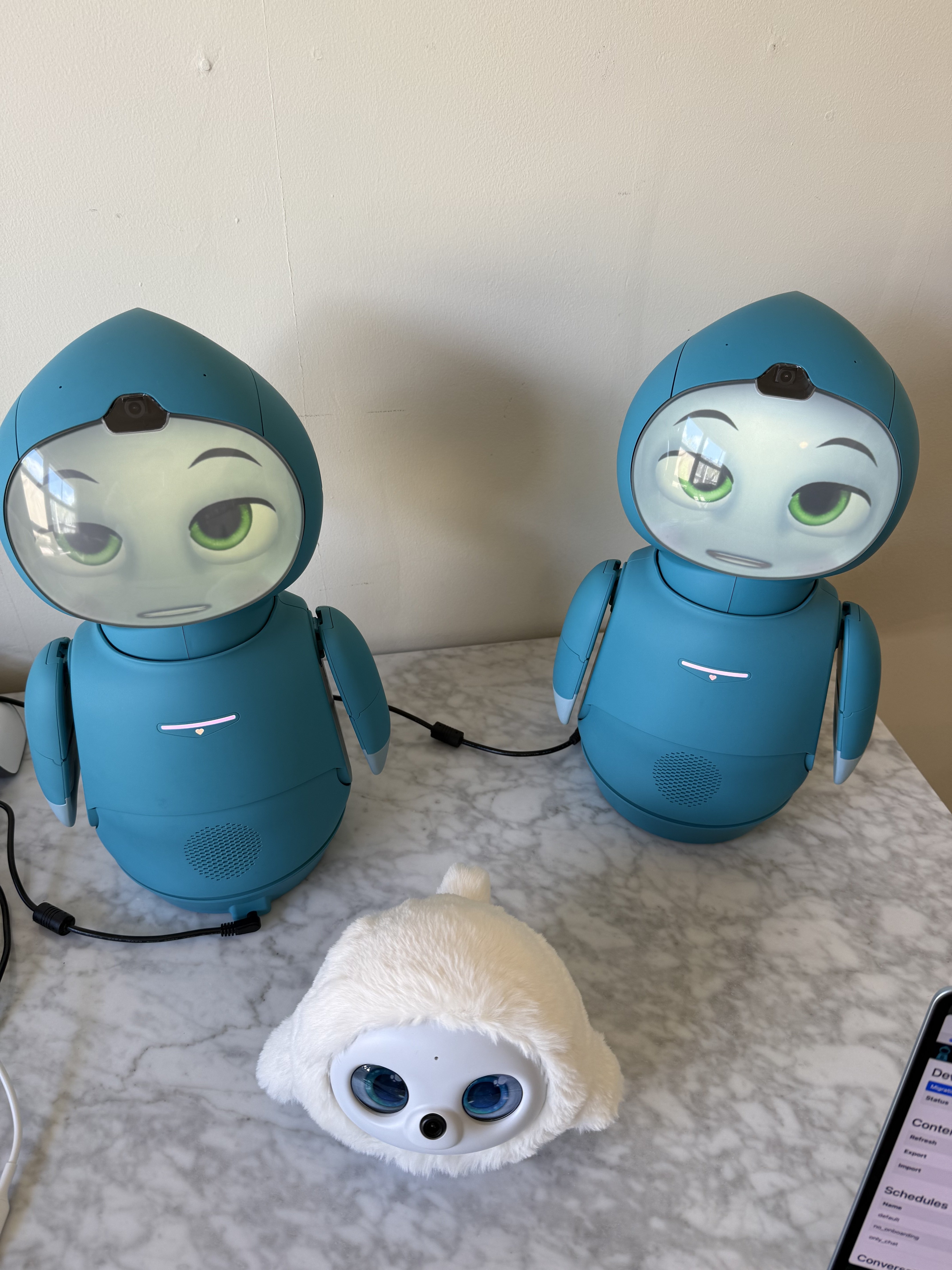 Two Moxie running on one computer.